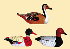 Decoy Ducks