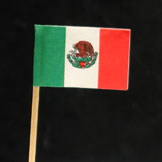 Mexico Flag Picks