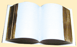 Open Bible