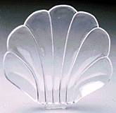 Clear Shell