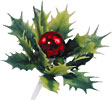 Holly Pick