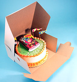 Cake Box 16 X 16 X 5.5