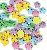 Wild Flower Quins