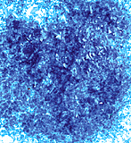 Edible Glitter Blue