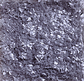Edible Glitter Grey